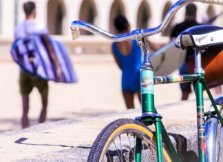 Staten Island Day Trip: What To See And Do For Unforgettable Fun