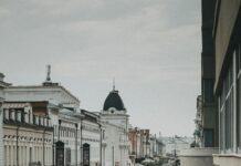 Pet-Friendly Cafés And Restaurants: Discover The Best Hidden Gems