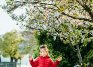 Spring In The City: Discover Cherry Blossoms And Outdoor Fun Magic