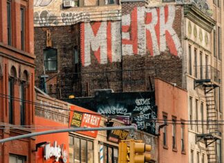 NYC Street Food: What You Have to Try for an Unforgettable Taste