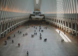 New York F Train Stops: Ultimate Guide to Hidden Transit Secrets