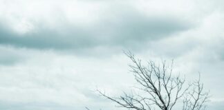 Bike Tours And Trails Around NYC: Discover Hidden Gems Today