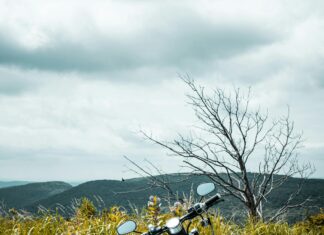 Bike Tours And Trails Around NYC: Discover Hidden Gems Today