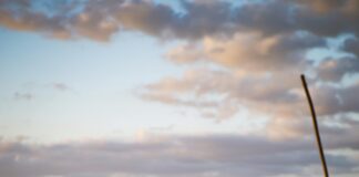 Consulado De Colombia En New York: Discover Essential Services Today