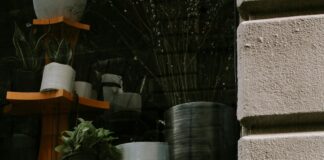 NYC’s Most Aesthetic Seasonal Displays: Stunning Visual Wonders