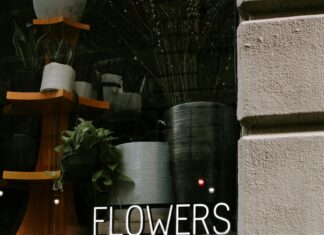 NYC’s Most Aesthetic Seasonal Displays: Stunning Visual Wonders