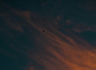 Flights From Orlando To New York: Discover The Best Deals Today