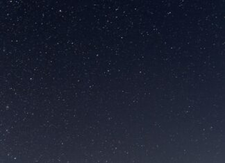 Late-Night Eats: What’s Open After Midnight To Satisfy Cravings