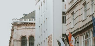 Bushwick Art & Culture Walking Tour: Discover Hidden Urban Gems