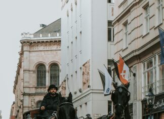 Bushwick Art & Culture Walking Tour: Discover Hidden Urban Gems