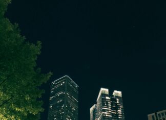 Neon Lights And Night Shots: Discover NYC After Dark Magic