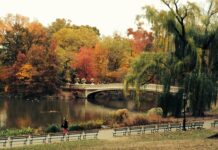 Best Spots For Fall Foliage In New York City: Hidden Gems Revealed