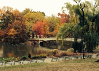 Best Spots For Fall Foliage In New York City: Hidden Gems Revealed
