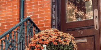 15 Must-See Fall Festivals in NYC That Will Blow Your Mind