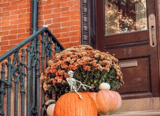 15 Must-See Fall Festivals in NYC That Will Blow Your Mind