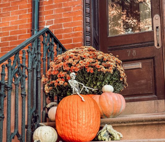 15 Must-See Fall Festivals in NYC That Will Blow Your Mind Home