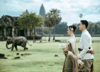 Flights From Dallas To New York: Discover The Best Deals Today