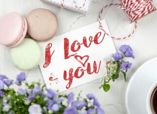 NYC’s Best Food Festivals You Can’t Miss: Ultimate Guide Revealed