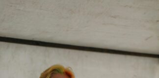 The Top Art Exhibitions in NYC This Month: Must-See Stunning Shows