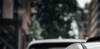 Best Dog Runs in the City: Discover Hidden Spots Your Pup Will Love