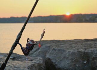 Fishing Licence New York: How To Easily Get Yours and Fish Freely