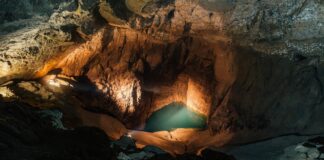 The Best Hidden Speakeasies in NYC: Secrets You Must Discover