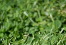 Boston To New York Flight: Discover The Fastest, Cheapest Ways Today