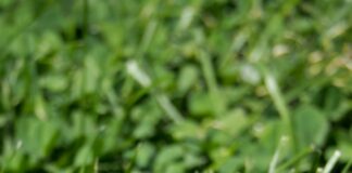 Boston To New York Flight: Discover The Fastest, Cheapest Ways Today