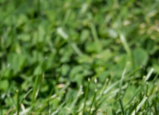 Boston To New York Flight: Discover The Fastest, Cheapest Ways Today