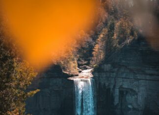 The Best NYC Parks To Visit In Every Season: Discover Hidden Gems