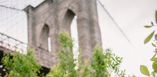 Davidzon Radio 620 AM Online Listen New York: How To Tune In Easily