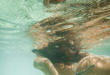 NYC Vets Hosting Free Wellness Days: Discover How to Benefit Today Home