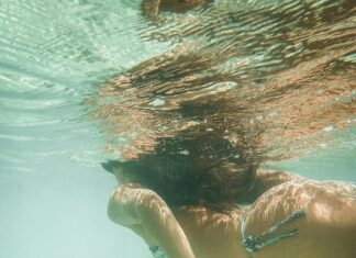 NYC Vets Hosting Free Wellness Days: Discover How to Benefit Today