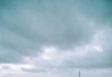 The Top Rooftop Bars With a View in NYC That Will Amaze You