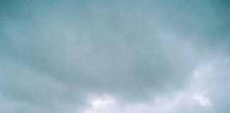 The Top Rooftop Bars With a View in NYC That Will Amaze You