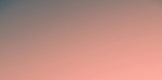 Minnesota Vikings Vs New York Giants Stats: Shocking Game Insights Revealed