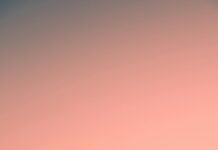 Uit Eten New York: Discover Hidden Culinary Gems That Will Amaze You