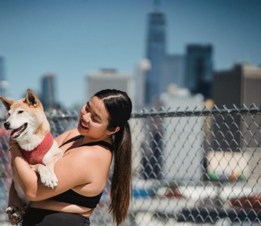 Where To Take Your Dog For A Day Out In NYC: Top Fun Spots Revealed