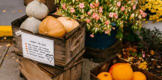 Top Farmer’s Markets In NYC: Discover Hidden Gems And Fresh Finds