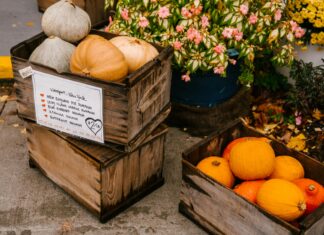 Top Farmer’s Markets In NYC: Discover Hidden Gems And Fresh Finds