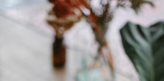 Aesthetic Dessert Shops To Try In NYC That Will Amaze Your Taste Buds