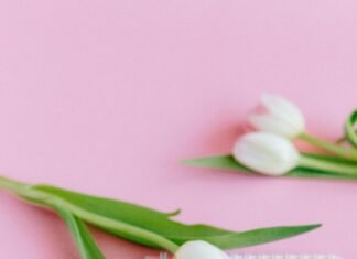 NYC Comedy Events Calendar: Discover The Funniest Shows Near You