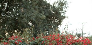 Central New York Fertility Center: Unlock Hope With Expert Care