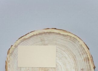 New York Radio Board Secrets: What Makes It Essential for Success?