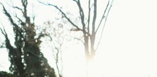 November In NYC: What To Explore For Unforgettable Autumn Adventures