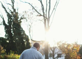 November In NYC: What To Explore For Unforgettable Autumn Adventures