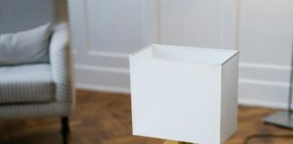 Guide To NYC’s Pet-Friendly Hotels: Discover Top Cozy Stays