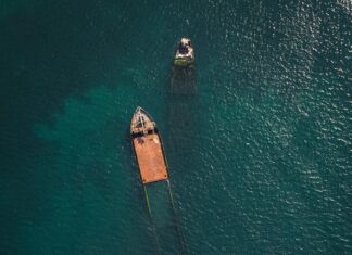 Exploring Central Park: Discover Hidden Gems and Untold History