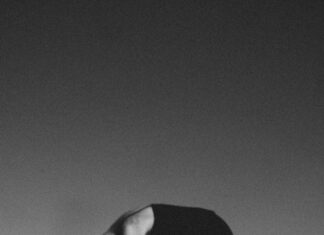 Free Outdoor Yoga & Meditation Events In NYC: Discover Peace Today